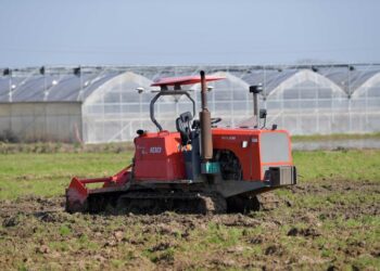 Chinese vice premier stresses autumn agricultural production