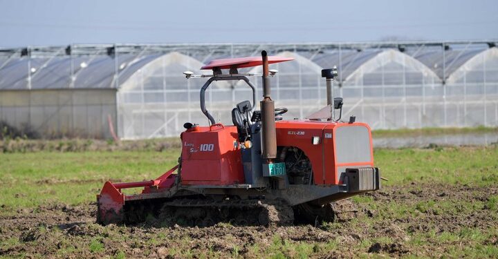 Chinese vice premier stresses autumn agricultural production