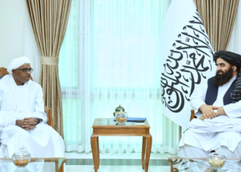 FM Muttaqi, OIC Special Envoy Confer on Afghanistan’s Relations with Islamic World