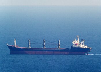 Ukraine says ship carrying wheat leaves port for Egypt