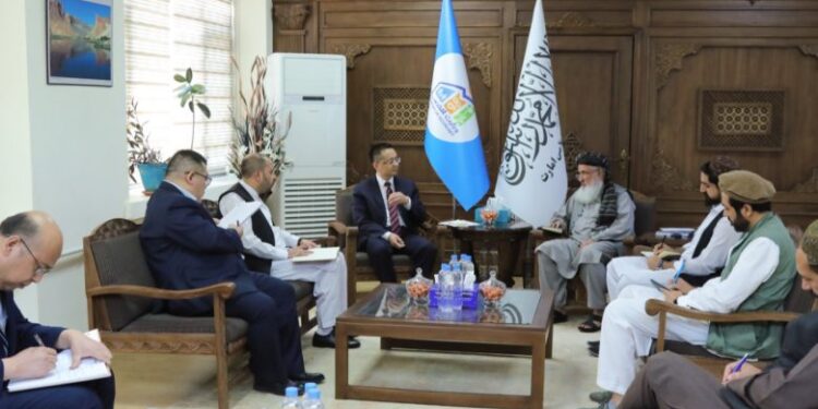 China’s Commitment to Afghanistan’s Economic Rehabilitation and Development