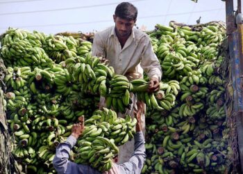 Academia, industry, progressive farmers agreed to organize Banana Festival at SAU