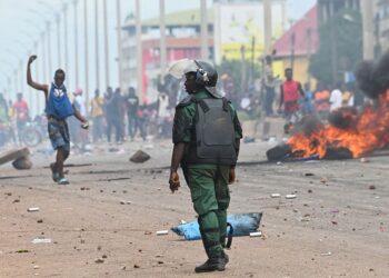 Epidemic or Revolution: The Other Side of the West Africa Upheaval 