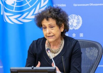 Right to information still an ‘empty promise’ for billions: UN expert