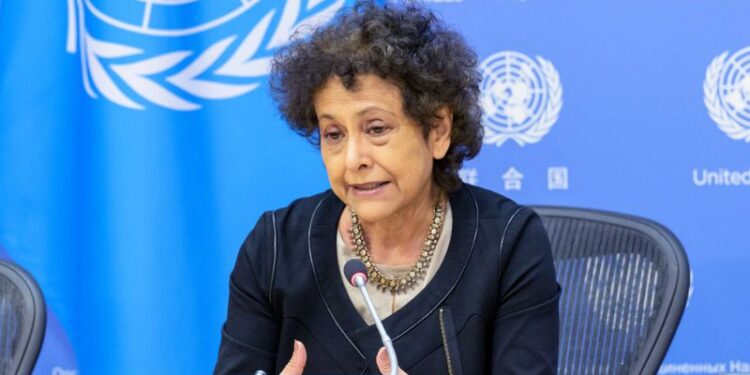 Right to information still an ‘empty promise’ for billions: UN expert