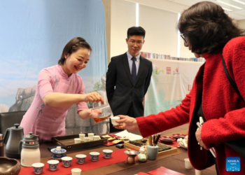 Chinese tea culture event held in Mongolia