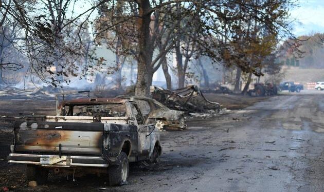Türkiye’s tea yield drops due to insufficient precipitation: media