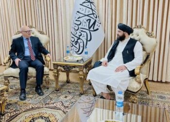 Acting Defense Minister Meets Turkish Ambassador to Kabul