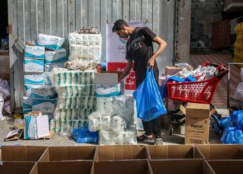 First shipment of aid to Gaza seen as insufficient as crisis worsens