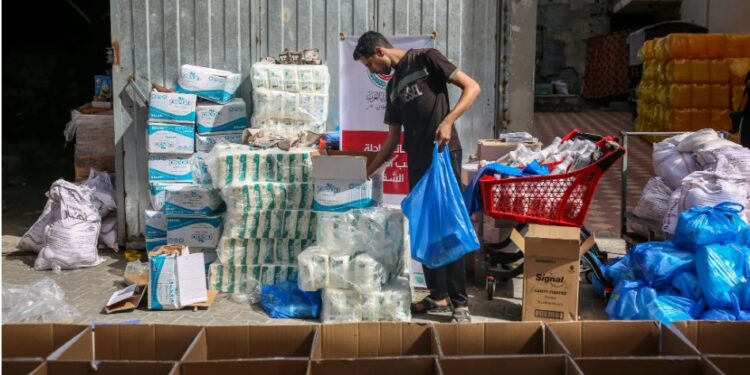First shipment of aid to Gaza seen as insufficient as crisis worsens
