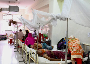 Bangladesh dengue deaths top 1,000 in worst outbreak