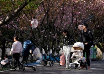 China kicks off nationwide population survey amid declining birth rate
