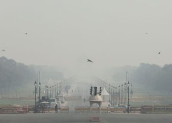 India’s New Delhi to restrict use of vehicles to curb air pollution – minister