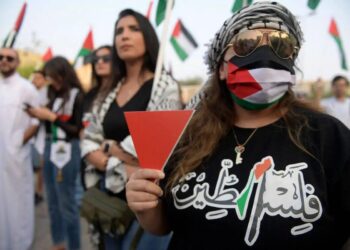 One Small, Red Triangle: Palestine, We Are Finally Looking