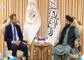 Acting Defense Minister Meets Turkish Charge d’ Affairs to Kabul