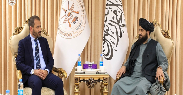Acting Defense Minister Meets Turkish Charge d’ Affairs to Kabul