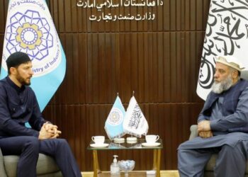 Afghan and Russian Authorities Discuss Cooperation in Transit and Trade