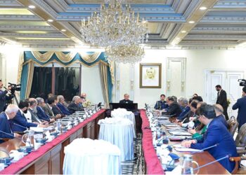 Finance Minister chairs meeting of CCoSOEs
