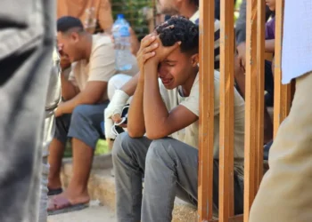 ‘Watering Down’ Genocide: No More Moral Compromises on Palestine, Please