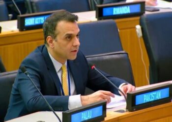 Multilateralism must for addressing complex challenges Including Palestine, Kashmir: Pakistan