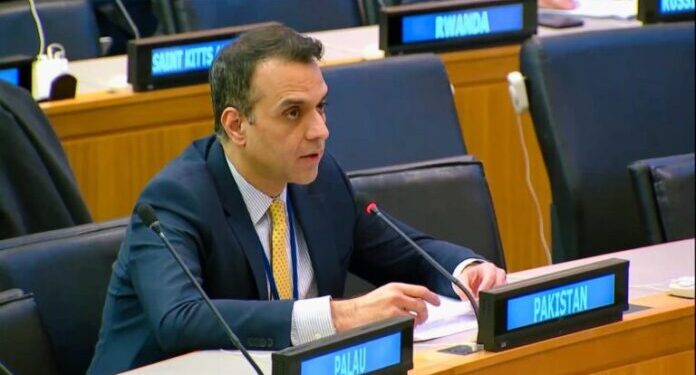 Multilateralism must for addressing complex challenges Including Palestine, Kashmir: Pakistan