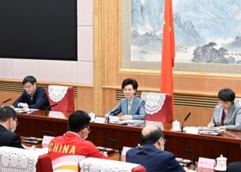 Chinese state councilor urges studying, implementing CPC plenum guiding principles