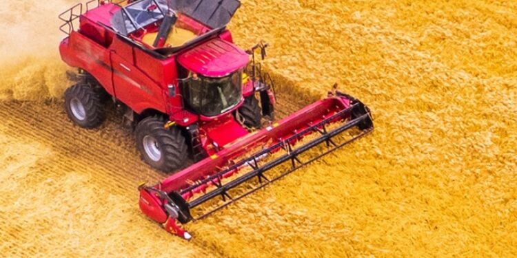 Chinese vice premier calls for ensuring bumper harvest after flooding