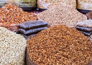 Kandahar Exports 12,000 Tons of Dried Fruits in Four Months