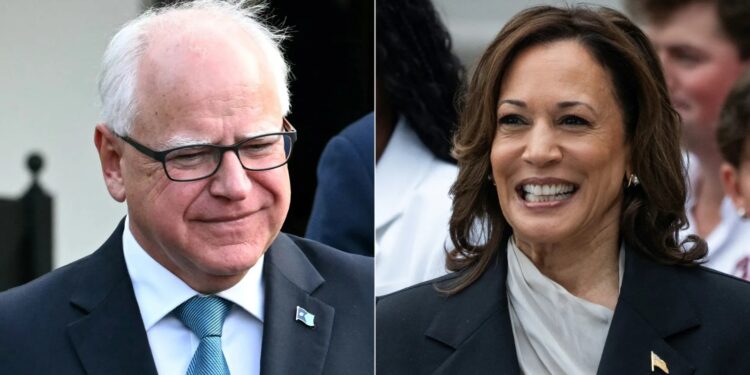 Kamala Harris picks Tim Walz, a State Governor, for VP