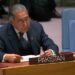 Pakistan urges boosting of Africa’s representation within UNSC to address historical injustice