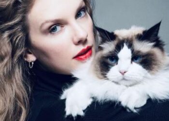 Taylor Swift breaks silence on US elections, endorses Kamala Harris