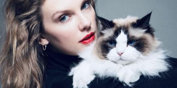 Taylor Swift breaks silence on US elections, endorses Kamala Harris