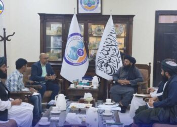 Acting Mines Minister Welcomes Indian Firm’s Interest in Afghanistan’s Mineral Sector