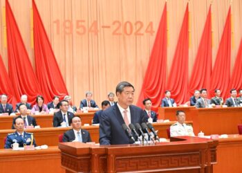 Chinese vice premier urges bolstering Xinjiang’s development