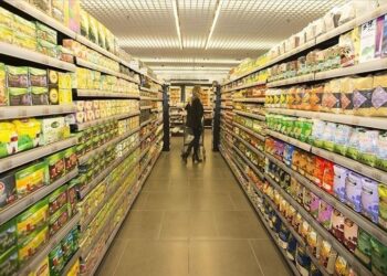 Türkiye’s economic confidence improves in October