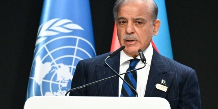 Previous financial pledges on climate change yet to materialise, PM Shehbaz tells COP29 summit