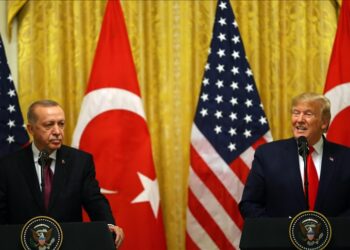 Türkiye’s president holds phone call with Trump