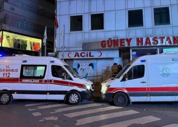 ‘Criminal network dismantled’: Türkiye’s health minister defends efforts to tackle newborn trafficking ring