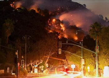 Death toll from Los Angeles wildfires rises to 24