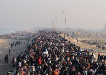 The Great March of Hope: Gaza’s Defiance against Erasure