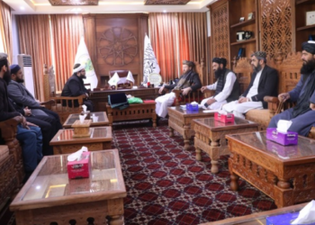 Afghan, Uzbek Officials Talk Agriculture Investment