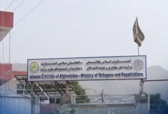 Afghan Refugees Ministry Condemns Forced Deportation of Migrants from Pakistan