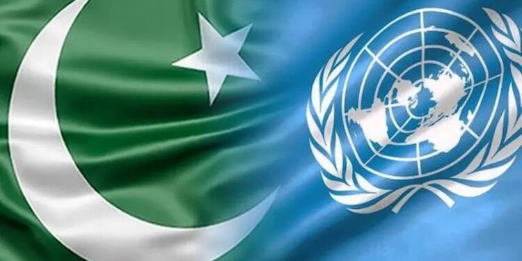 Pakistan listed among 4 countries that make up half of global maternal deaths: UN report
