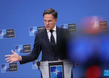 Ukraine’s membership not part of peace deal: NATO Chief