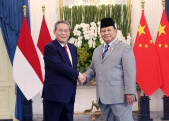 China, Indonesia reaffirm Bandung Spirit, pledge closer cooperation