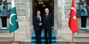 Turkish President Erdogan receives Pakistani Prime Minister Sharif in Istanbul