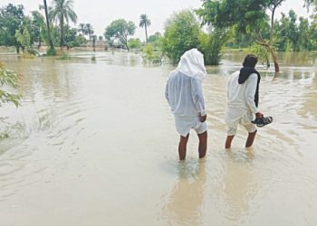 Villages submerged as Punjab braces for more downpour