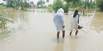 Villages submerged as Punjab braces for more downpour