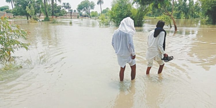 Villages submerged as Punjab braces for more downpour