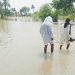 Villages submerged as Punjab braces for more downpour